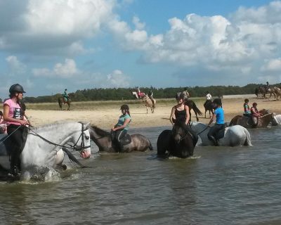 Met je paard op vakantie? Ruiter- Menvakanties in Drenthe